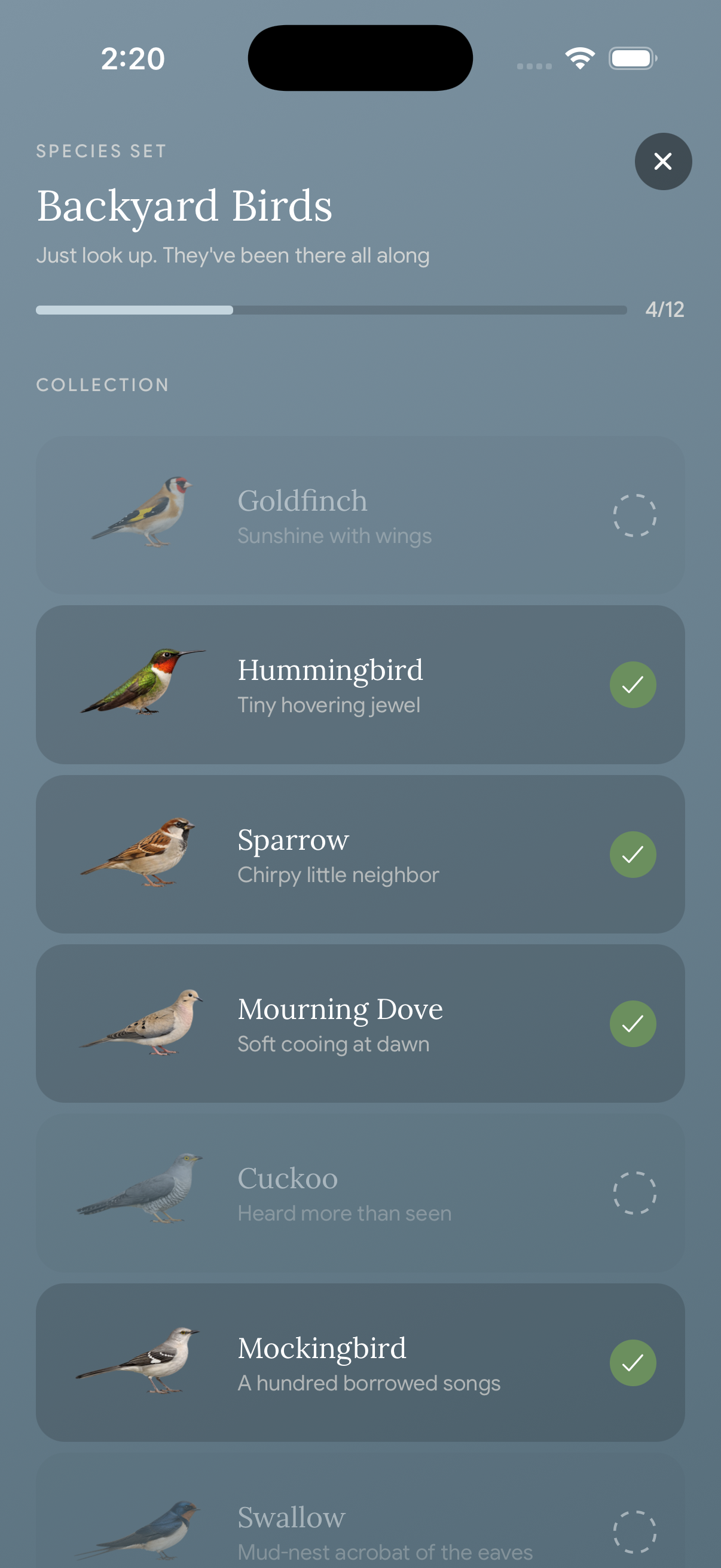 Fauna Backyard Birds collection with 4 of 12 birds discovered, including hummingbird, sparrow, mourning dove, and mockingbird