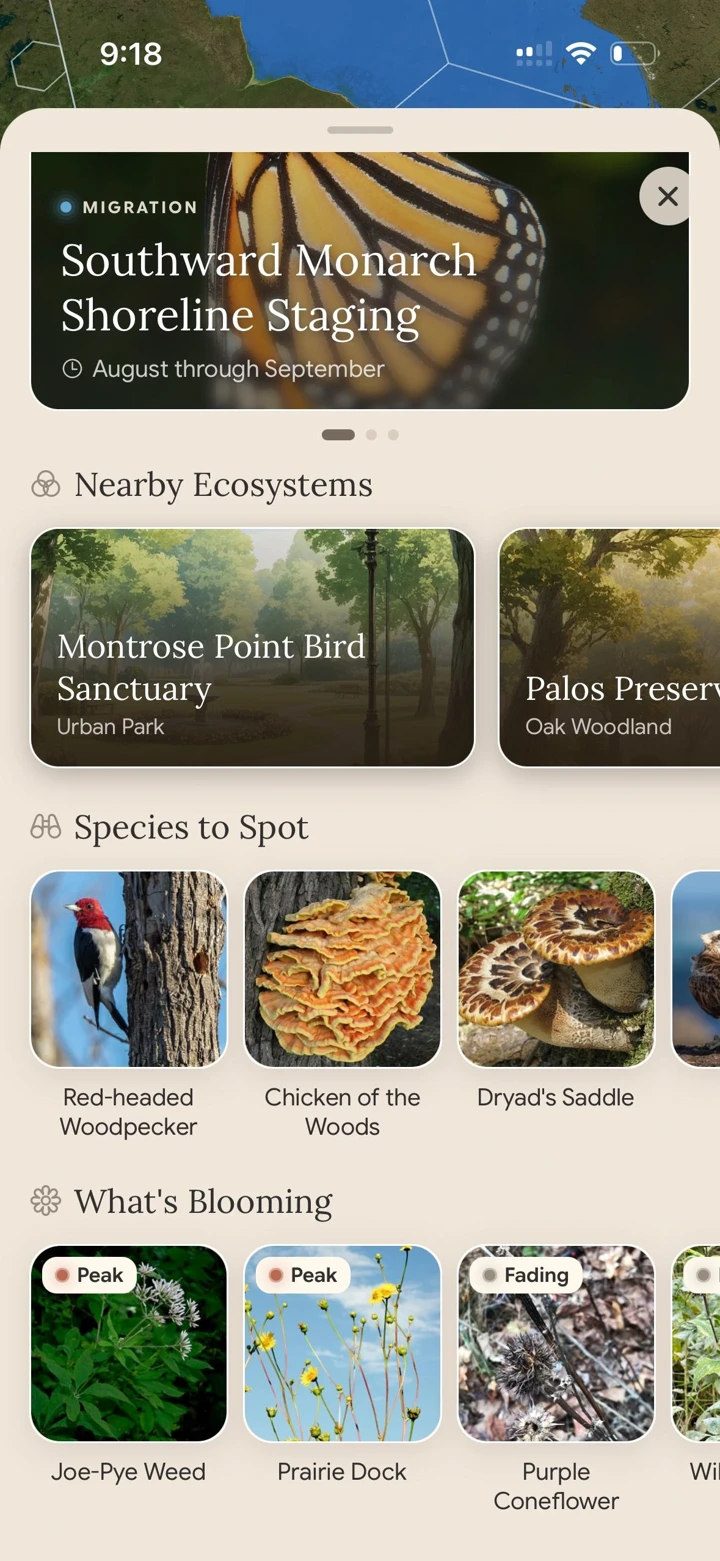 Fauna’s local bloom guide showing plants and their predicted flowering windows