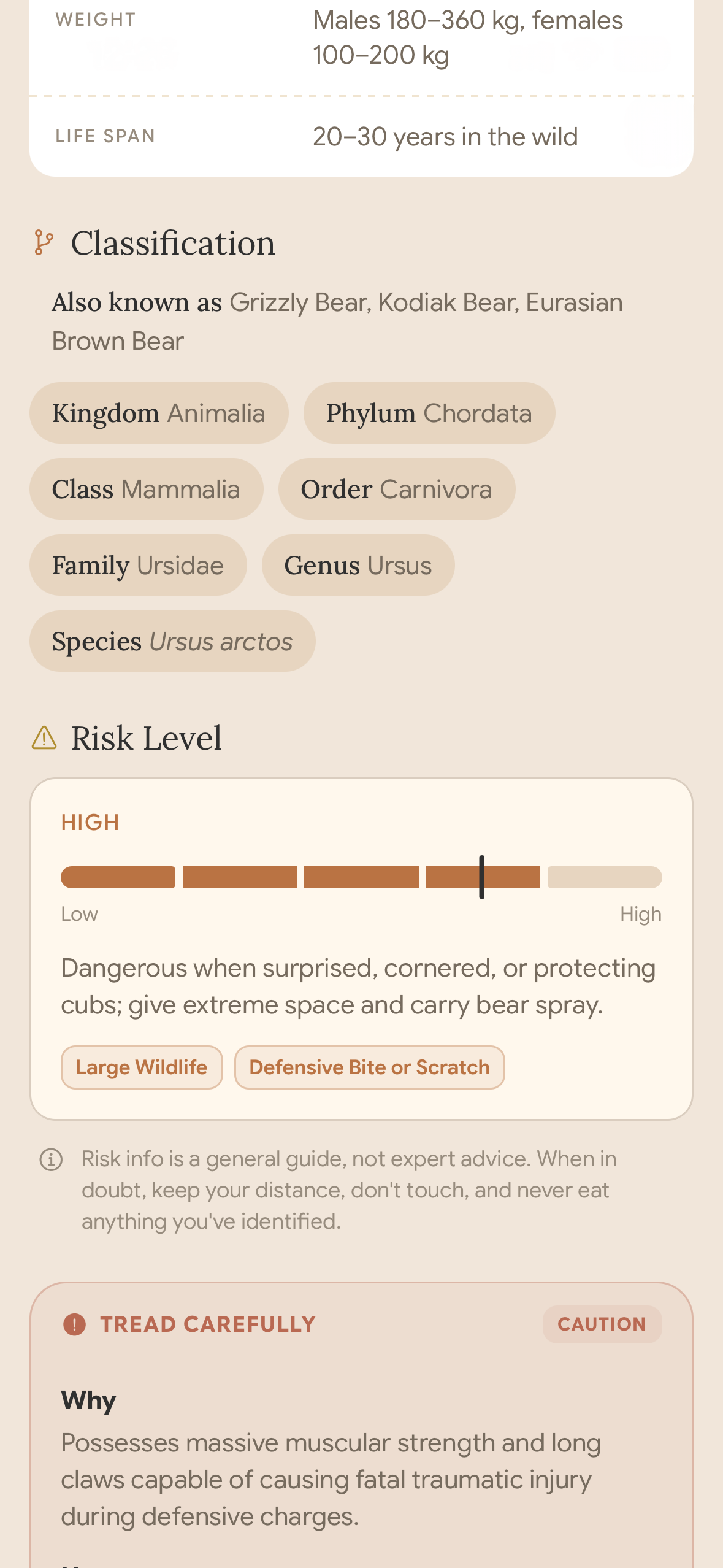 Brown bear profile showing familiar common names, classification, and risk guidance