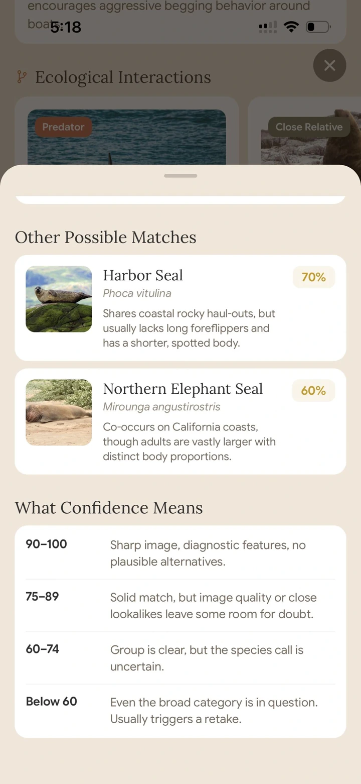 Alternate species matches and a rubric explaining Fauna’s confidence tiers