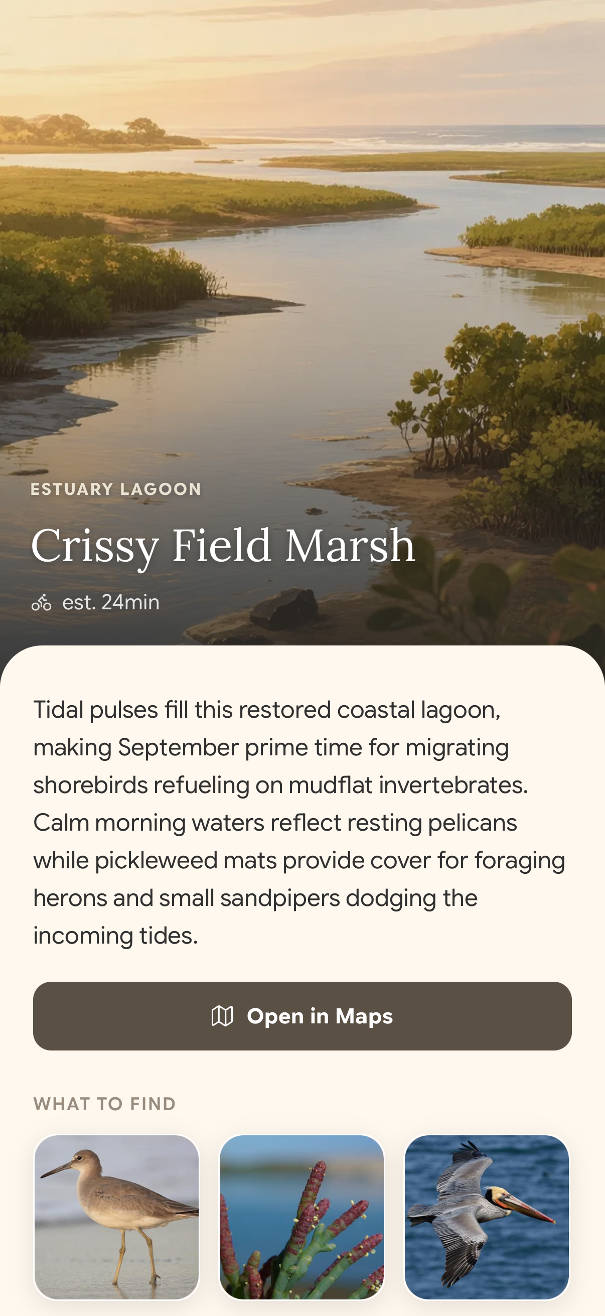 Fauna ecosystem guide for Crissy Field Marsh, with habitat details, directions, and wildlife to look for
