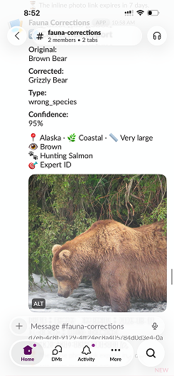 User correction report from Alaska requesting Grizzly Bear instead of Brown Bear