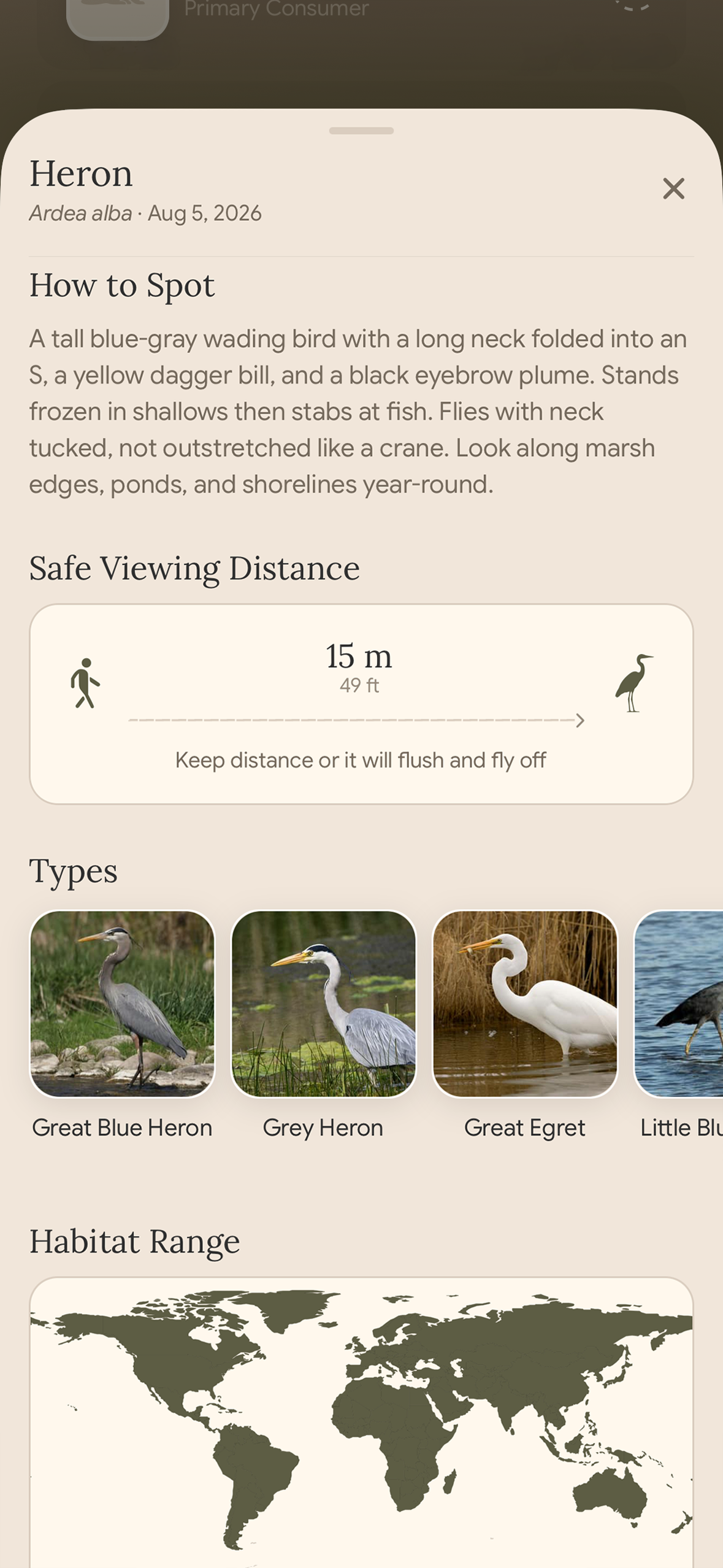 A refined Heron collection slot with visual Types and a habitat range map