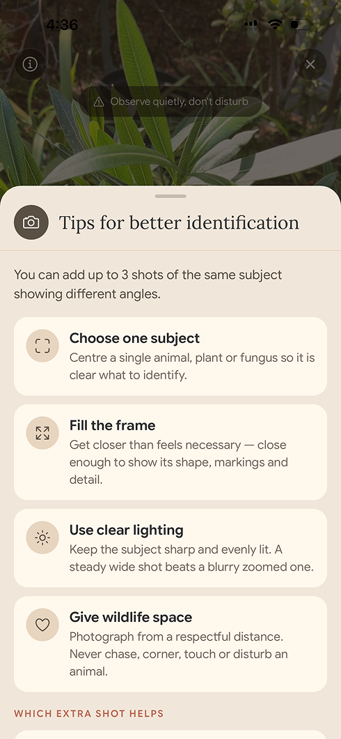 On-demand camera guidance for taking useful wildlife identification photographs
