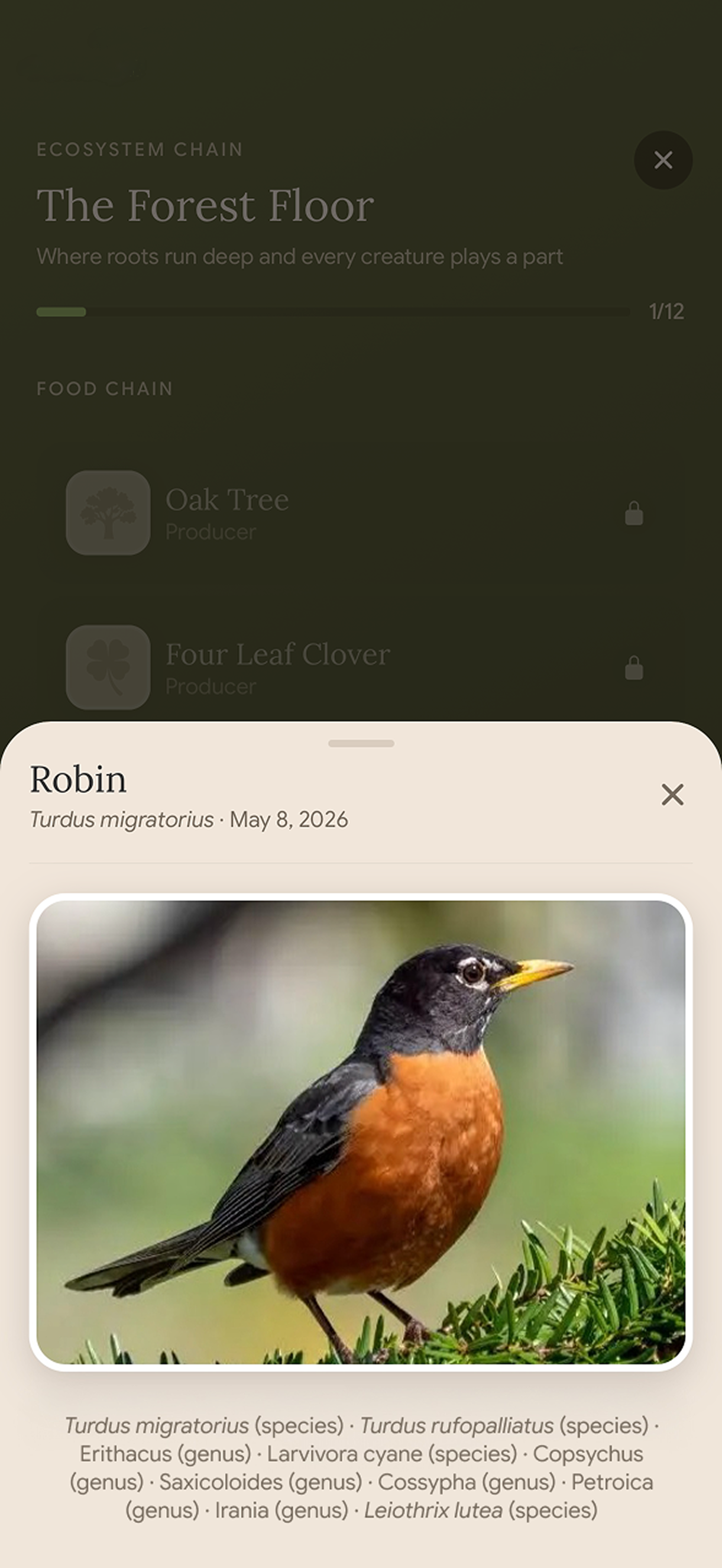 An early Robin collection slot showing a long list of taxonomic matching criteria